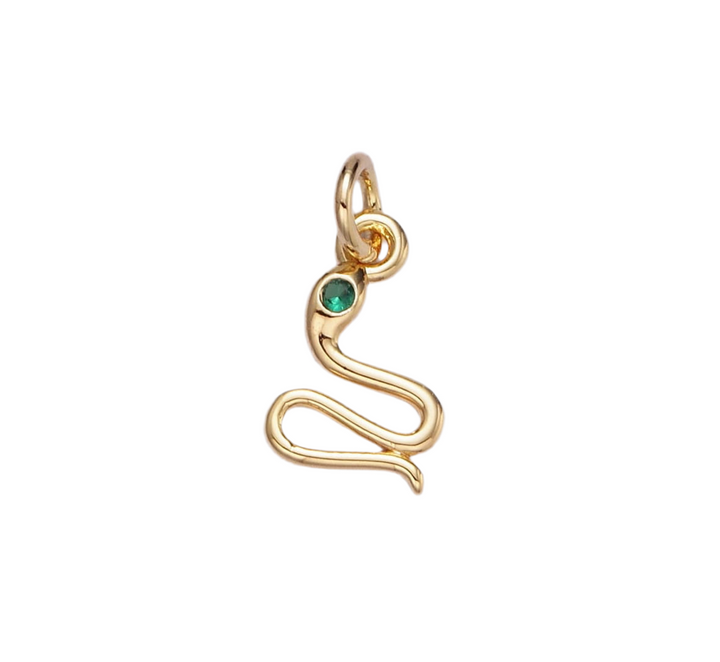 Sassy Snake Charm