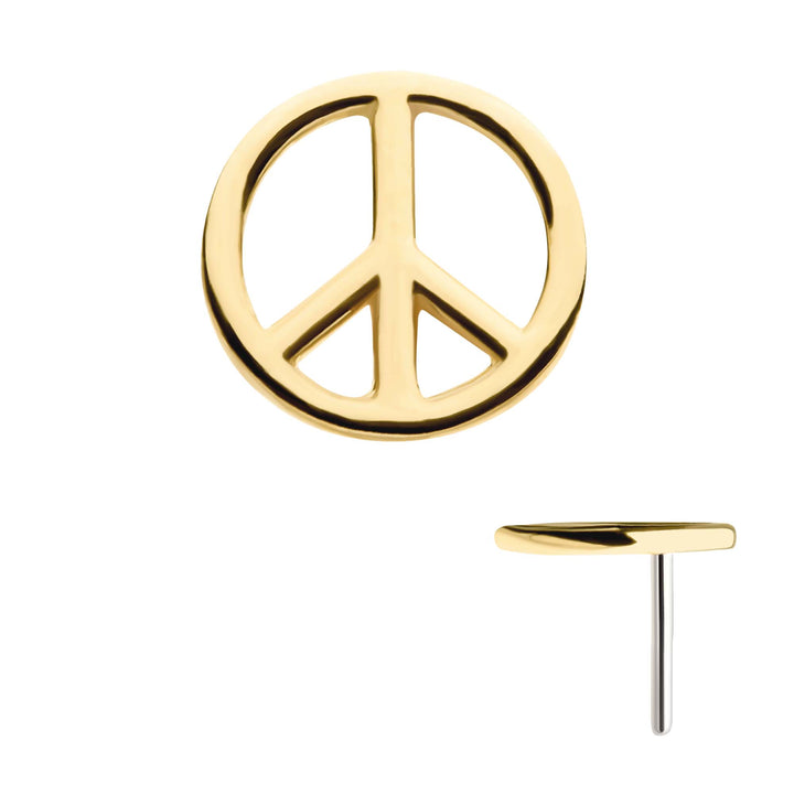 14kt Gold Peace Flat Back