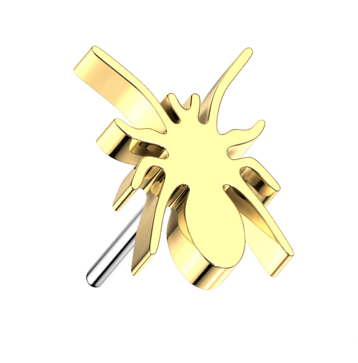 Itsy-Bitsy Spider Flat Back