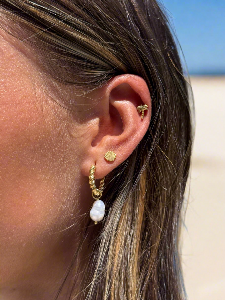 Little’s Sea Shell Flat Back Set