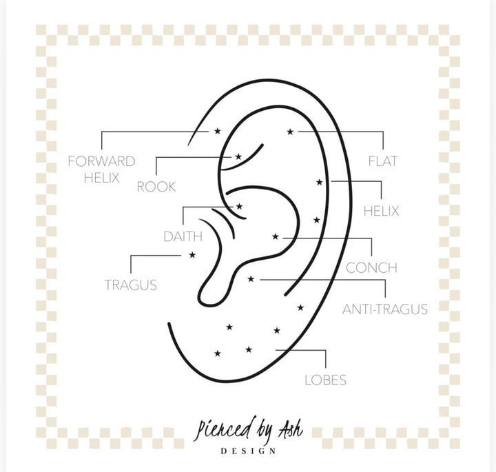 Virtual Ear Mapping By Ash