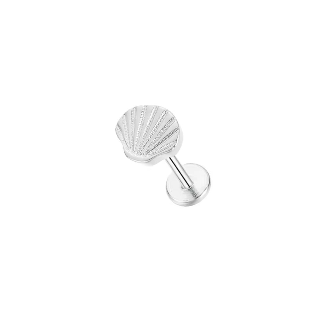 Little’s Sea Shell Flat Back Set