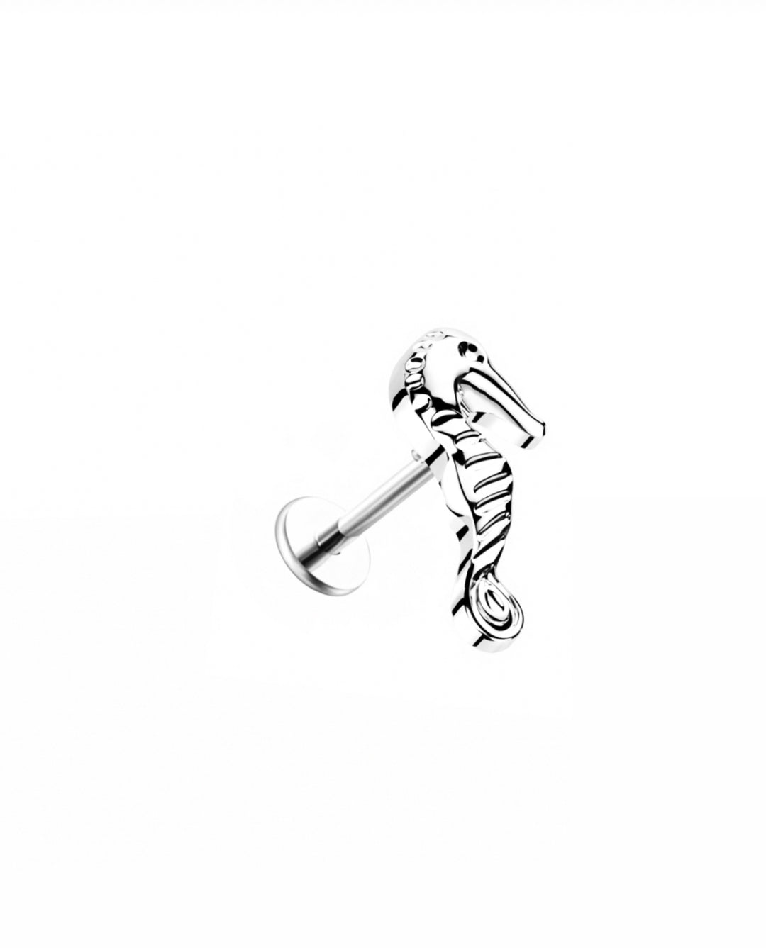 Sea Horse Flat Back