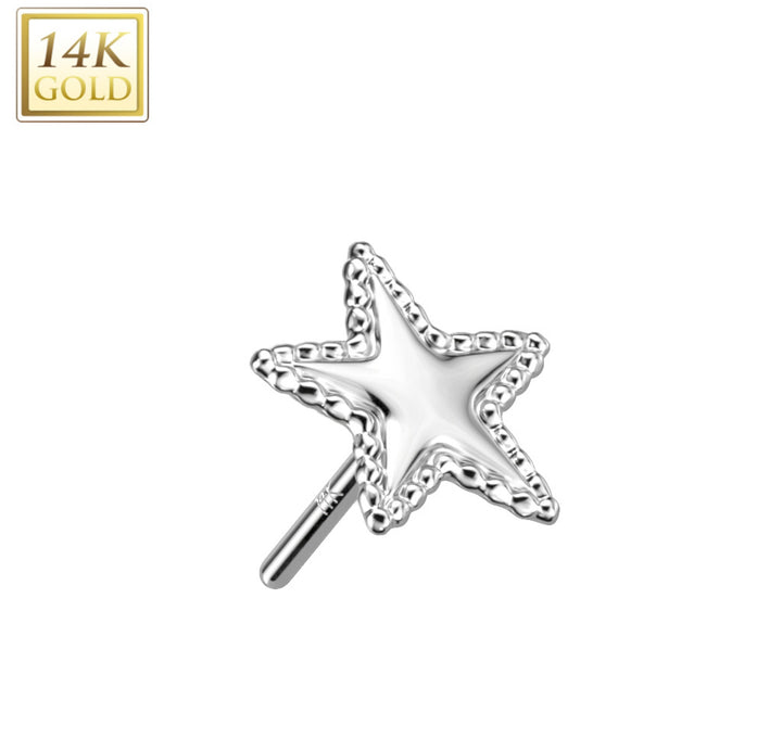 14k Gold Star Flat Back