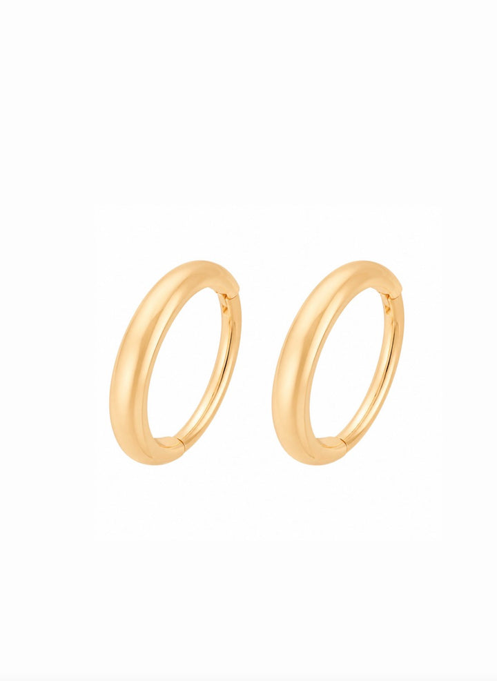 Live-in Titanium Hoops