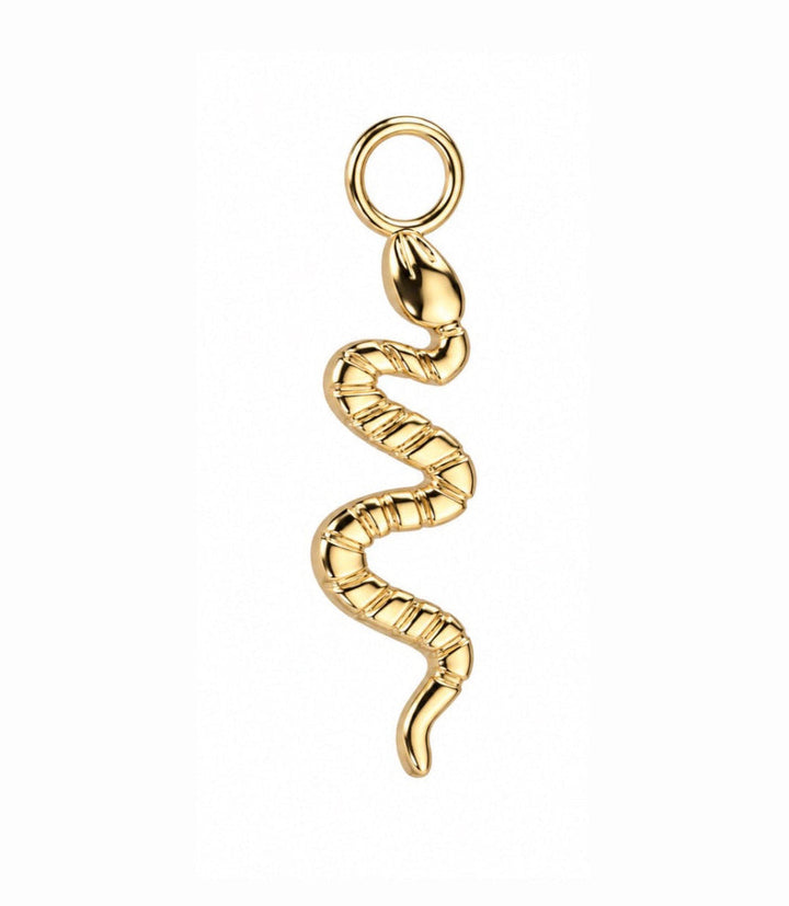 Snake Charm