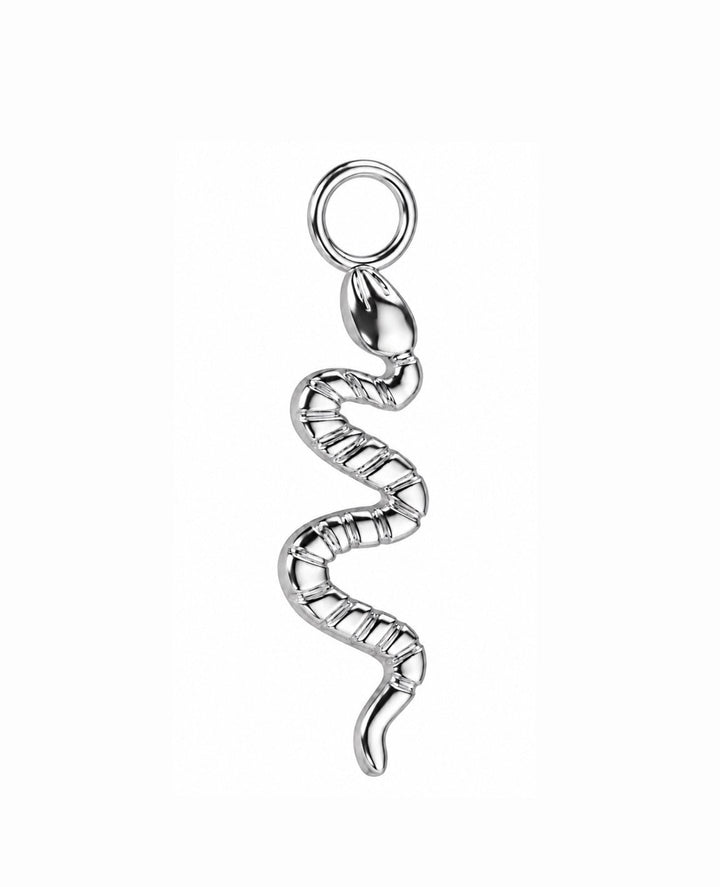 Snake Charm