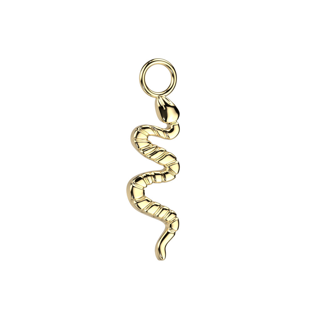 Titanium Snake Charm